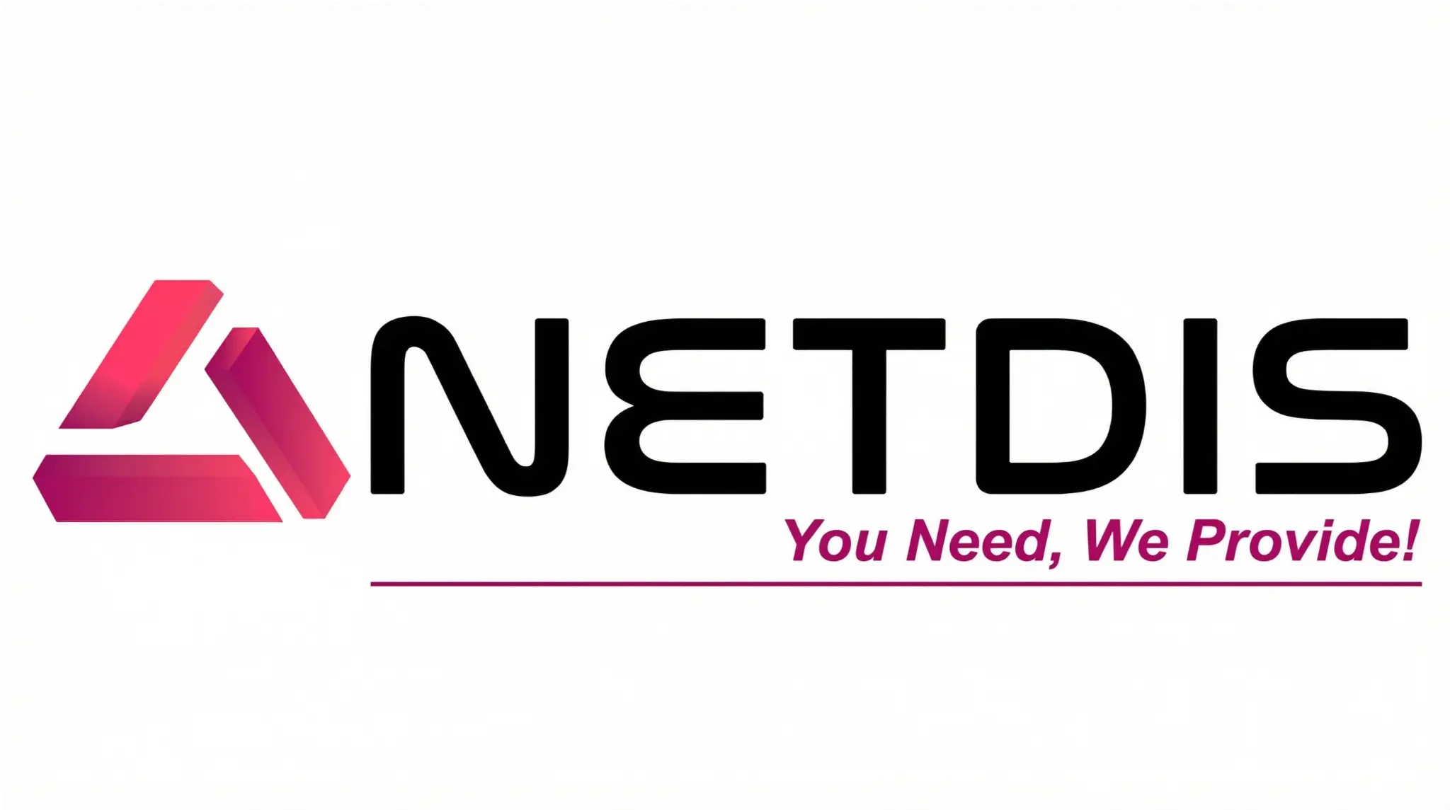 Logo Netdis